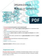 Curs 3 Organizarea Materialului Genetic La Virusuri Si Bacterii