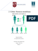 2 - Célula - Herencia Mendeliana