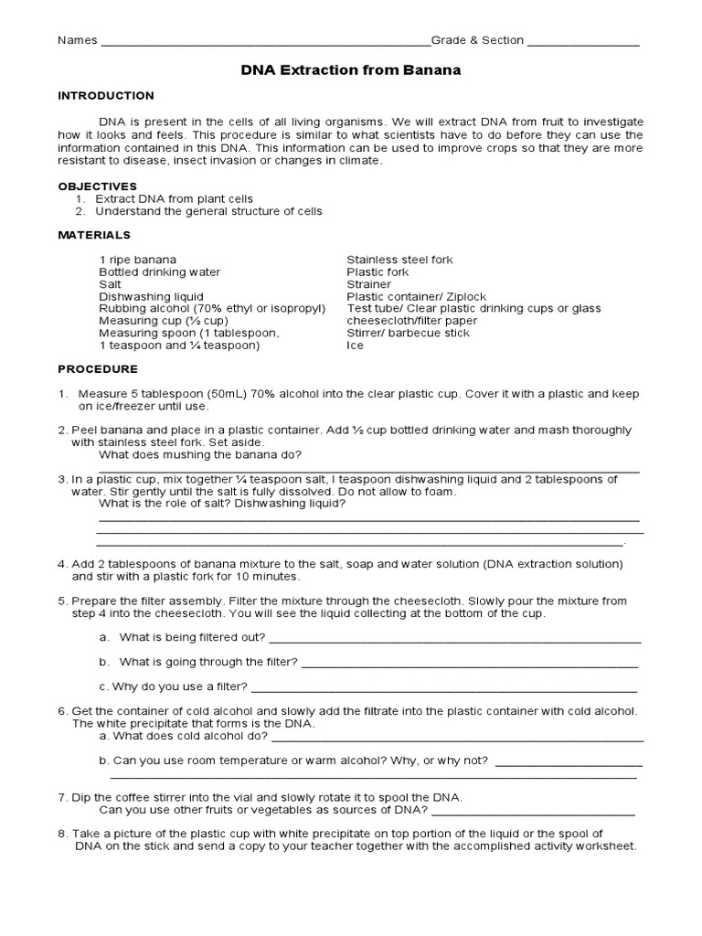 Banana DNA Extraction PDF Teaspoon Filtration