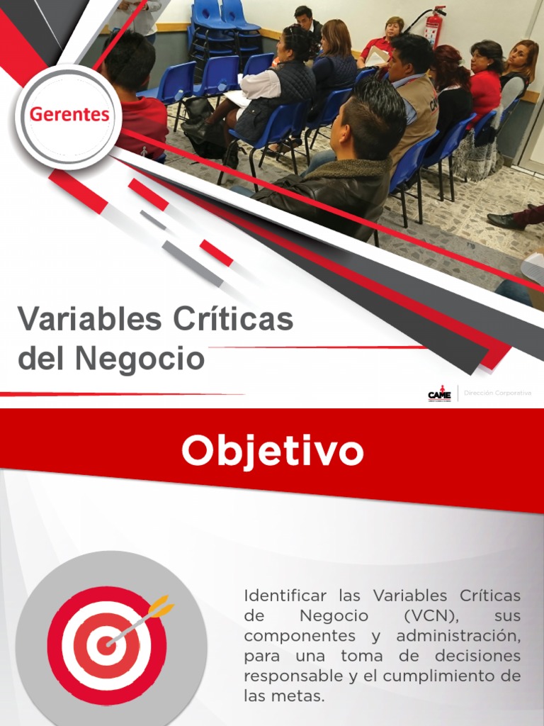 Variables Críticas para Decisiones de Negocio | PDF | Crédito ...