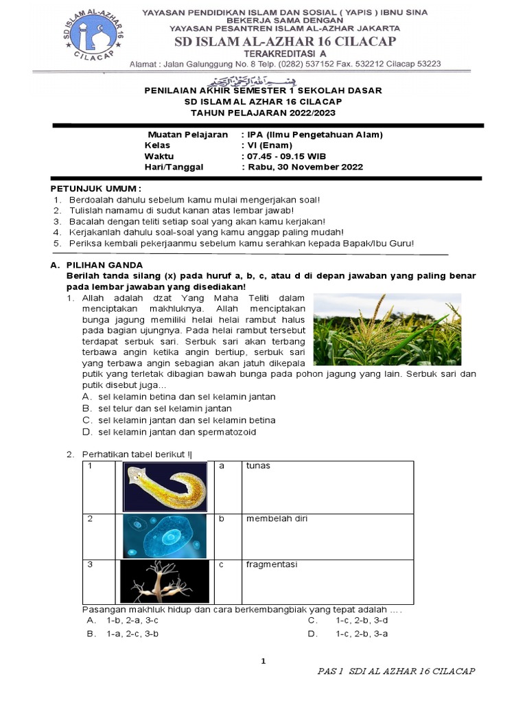 PAS IPA Kelas VI SD Al Azhar 16 Cilacap | PDF