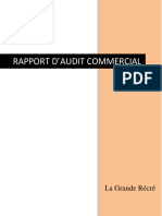 Rapport D'audit Commercial