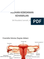 Asuhan Kehamilan 4