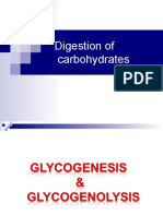 4-CHO Metabolism 2 & DM