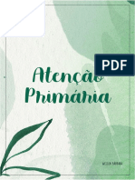 Atenção Primária Pré-Natal