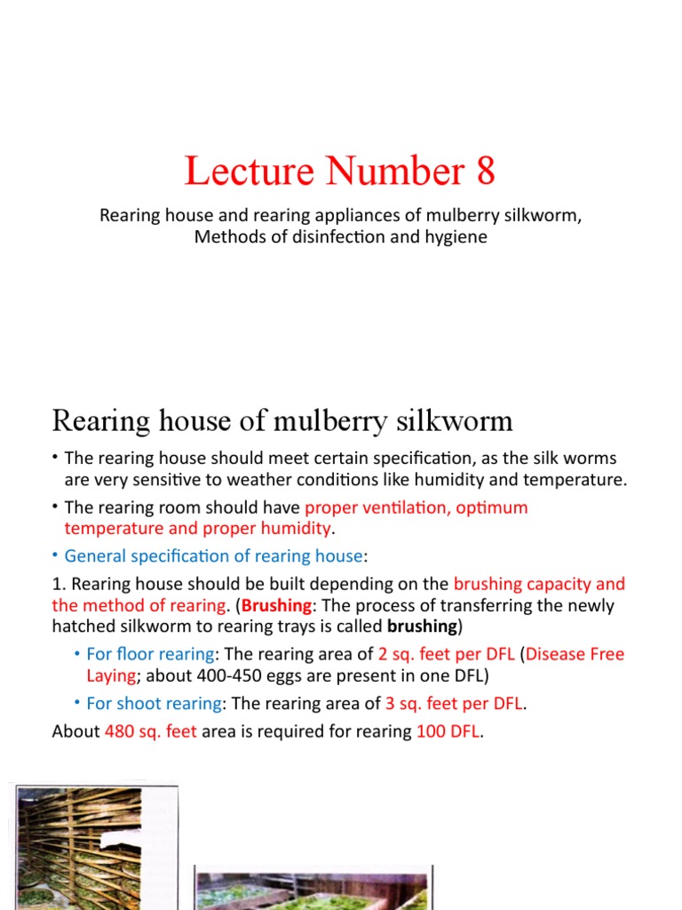 Silkworm Rearing House