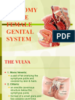 01 Anatomy of Female Genital System by Shahbaz and Asaad