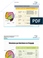 Estructuras Que Intervienen en El Proceso Del Lenguaje