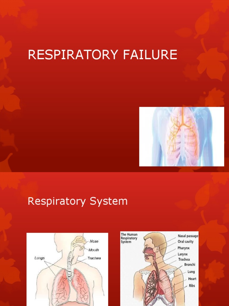 Avoid Respiratory Failure Spot The Warning Signs Now - su89555