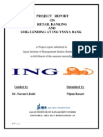Retail Banking and Sme Lending at ING VYSYA BANK