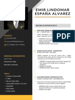 Emir Espana CV - I