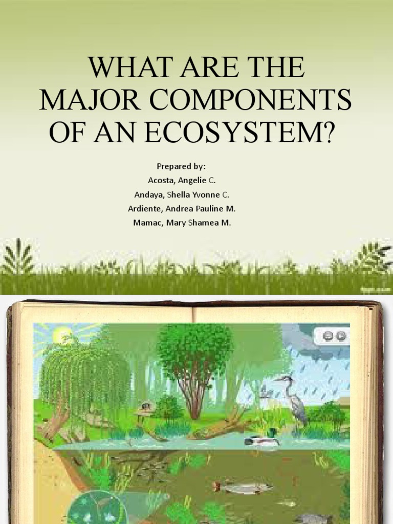 first-reporters-ppt-what-are-the-major-components-of-an-ecosystem