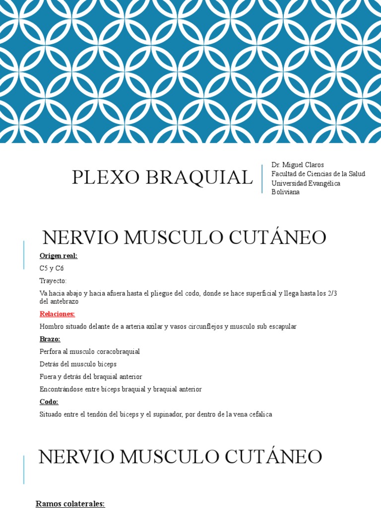Plexo Braquial Pdf Mano Codo