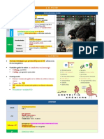 6, 7, 8, 9 (DG) y 2 (CX) - Estómago