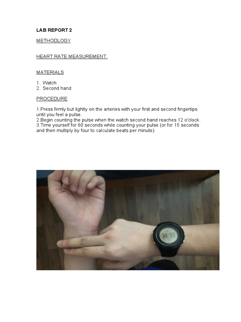 Lab Report 2 Methodology | PDF