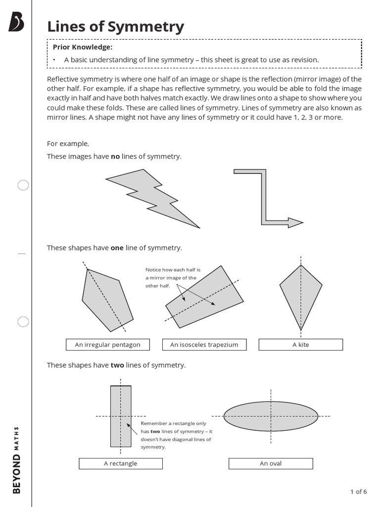 Lines of Symmetry PDF