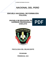 Psicología delincuente PNP Chiclayo
