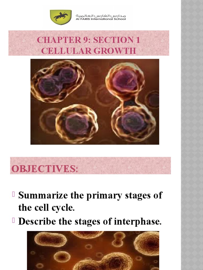 Section 9.1 Cellular Growth | PDF