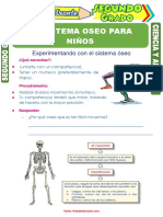 El Sistema Oseo para Niños para Segundo Grado de Primaria