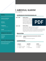 Assane Ide Abdoul Karim: Expériences Professionnelles