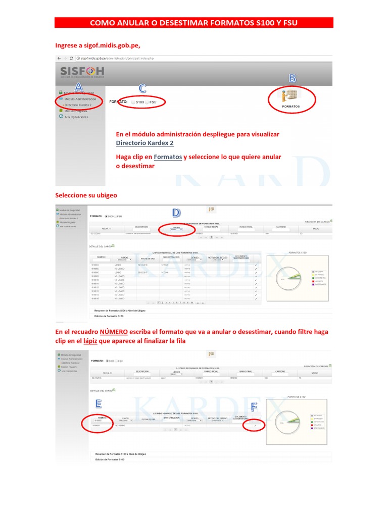 Anulación y Desestimación de Formatos S100 y FSU | PDF | Tecnología