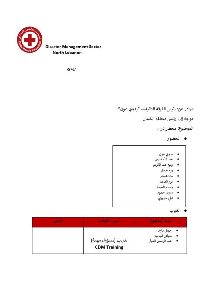 Disaster Management Sector North Lebanon: CDM Training | PDF