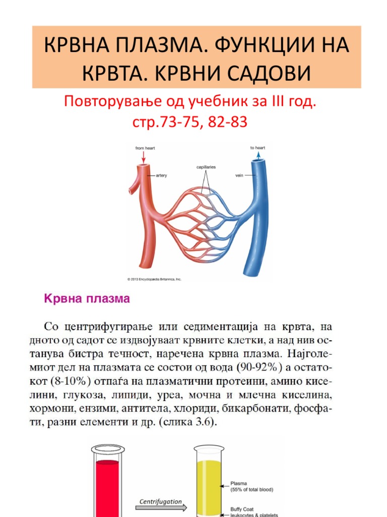 9. Крвна плазма. Срце и крвни садови | PDF