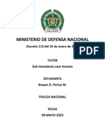 Mapa Conceptual Decreto 113 Del 2022 de La Policía Nacional 09-05-2023