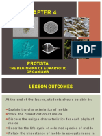 Chapter 4 - Protista - Molds