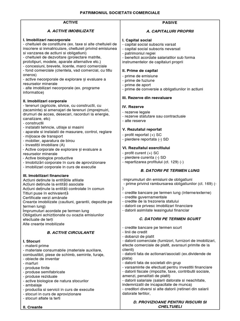 U3b Structura Patrimoniului - 2020 | PDF
