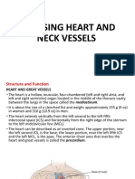 Assessing the Heart and Great Vessels