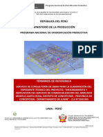 Modelo TDR Mercado de Abastos