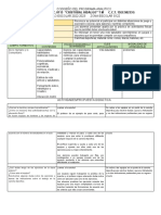 Formato Plan Analitico