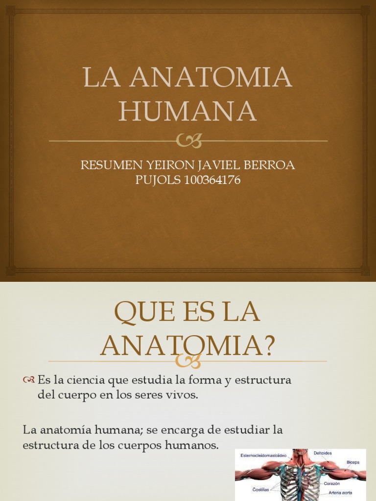 La Anatomia Humana | PDF