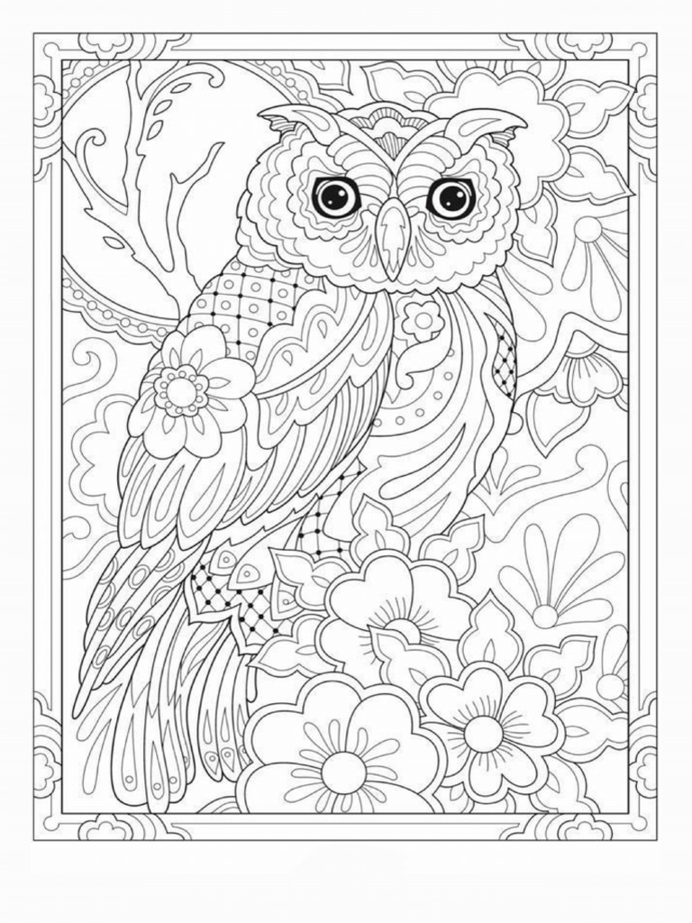 Desenhos para Colorir Adulto | PDF