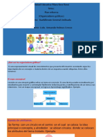 Organizadores Graficos UEASUR