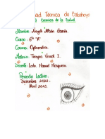 Grafico de La Orbita Ocular y Musculatura Extrinsica