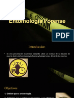 Entomología Forense