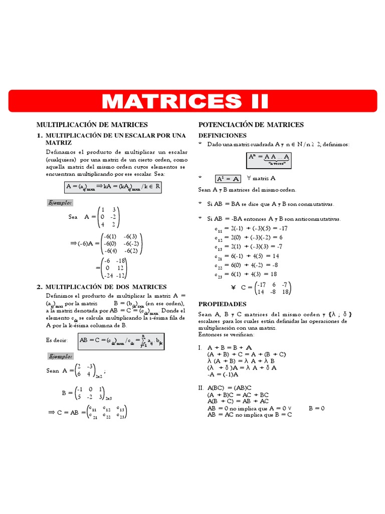 Ejercicios de Matrices II | PDF