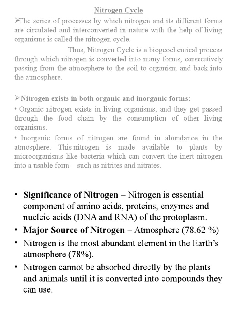 Nitrogen Cycle | PDF | Nitrogen | Chemistry