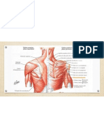 CapacitaciÃ³n de Masajepdf22_230209_090449_00012