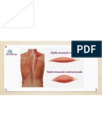 CapacitaciÃ N de Masajepdf22 - 230209 - 090449 - 00010