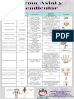 Esqueleto humano: partes del sistema axial y apendicular