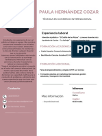 Currículum Diseño e Ilustración Minimalista Rosa