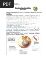 Guia La Celula Quinto Basico