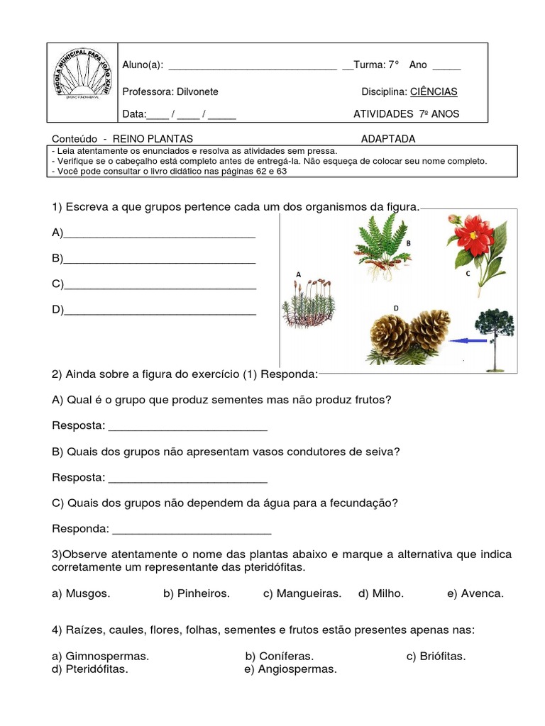 Atividades Adaptadas: Reino Plantae 7º Ano | PDF | Carreira e Crescimento