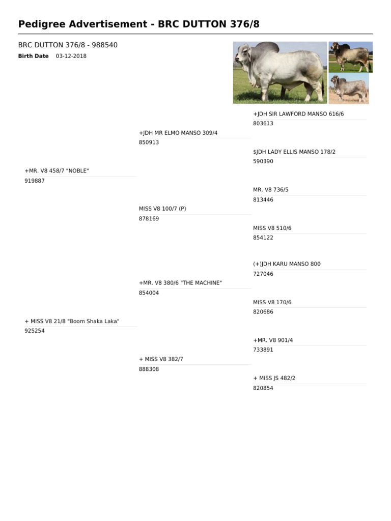 BRC DUTTON 376 - 8 - 2g-Photo-Ad | PDF