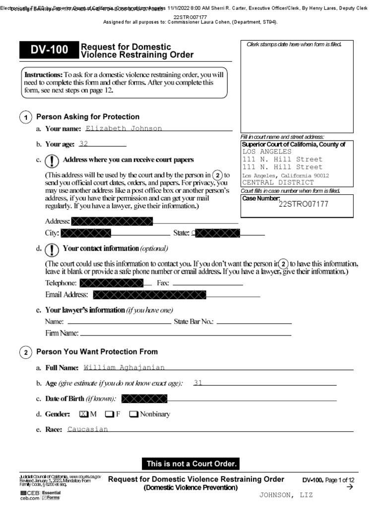 Request For Domestic Violence Restraining Order | PDF | Computers
