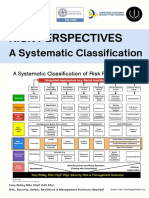 Risk Perspectives - A Systematic Classification