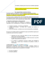 Príncipios Do Processo Do Trabalho